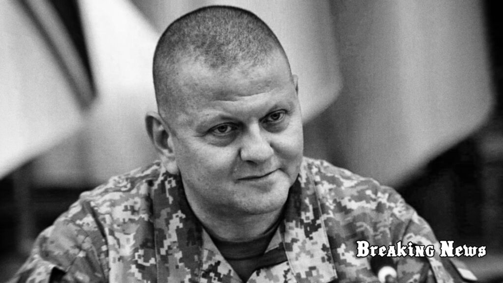 Залужний розповів, як його у 2019 році затримав Інтерпол за запитом РФ, коли він приїхав до Брюсселя на саміт НАТО