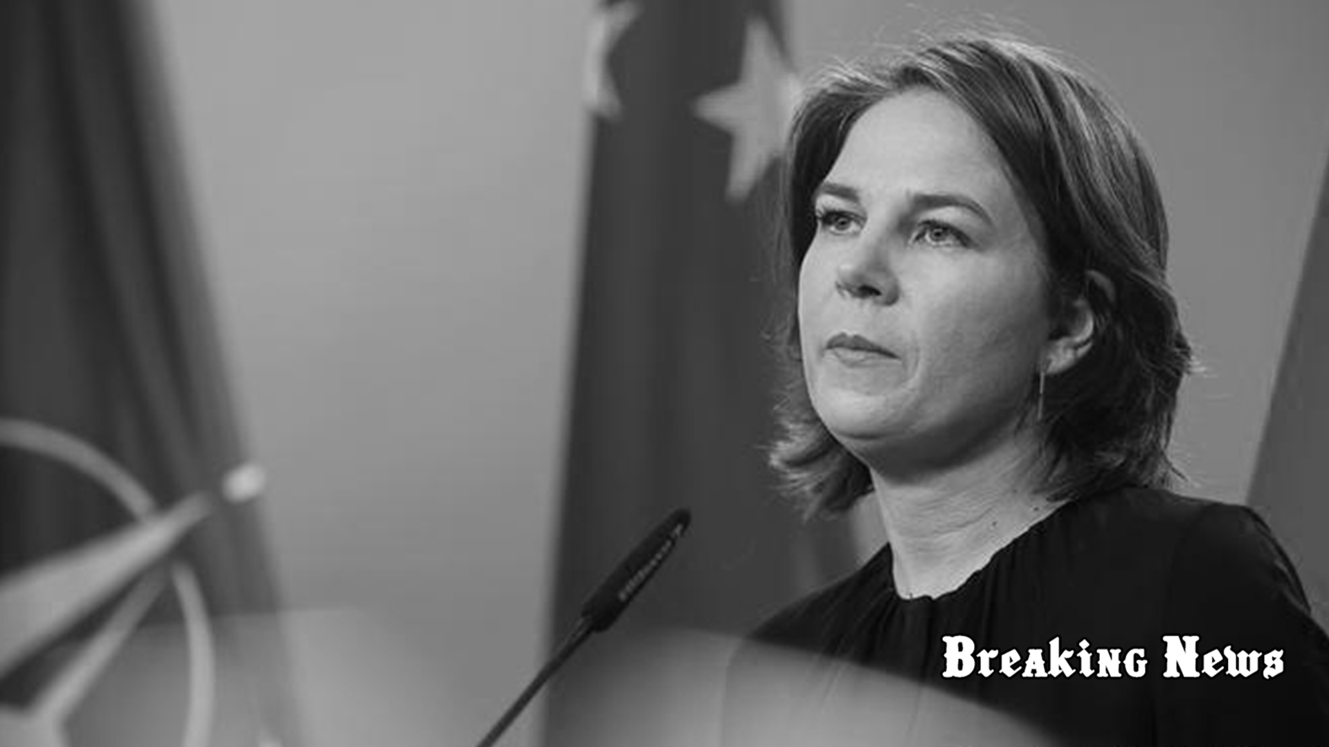 Бербок закликала країни НАТО повчитися кібербезпеці в України