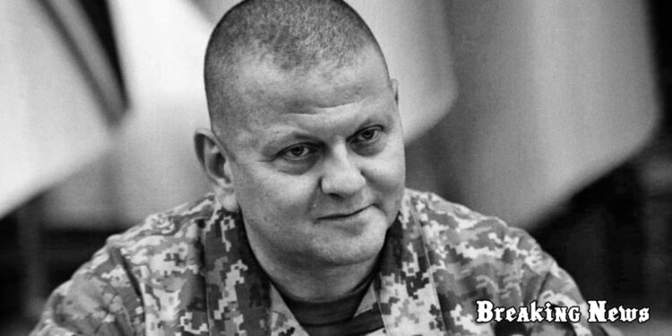 Залужний розповів, як його у 2019 році затримав Інтерпол за запитом РФ, коли він приїхав до Брюсселя на саміт НАТО