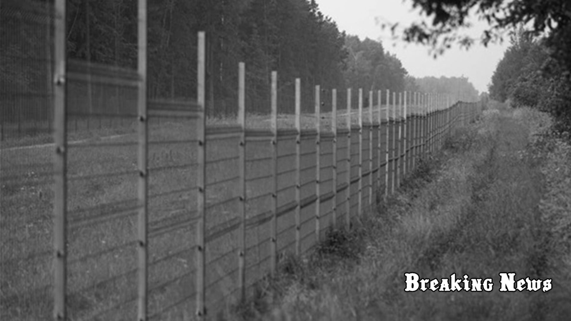 Литва добудувала паркан на кордоні з Білоруссю