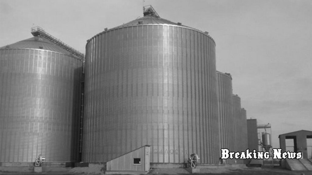 Росіяни ракетним ударом зруйнували елеватор на Миколаївщині: знищено тисячі тонн зерна