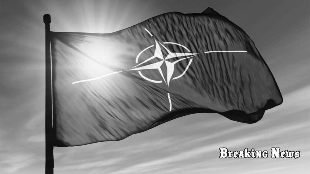 НАТО відреагувало на заяву Румунії про знайдені уламки російського дрона