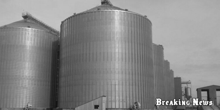 Росіяни ракетним ударом зруйнували елеватор на Миколаївщині: знищено тисячі тонн зерна