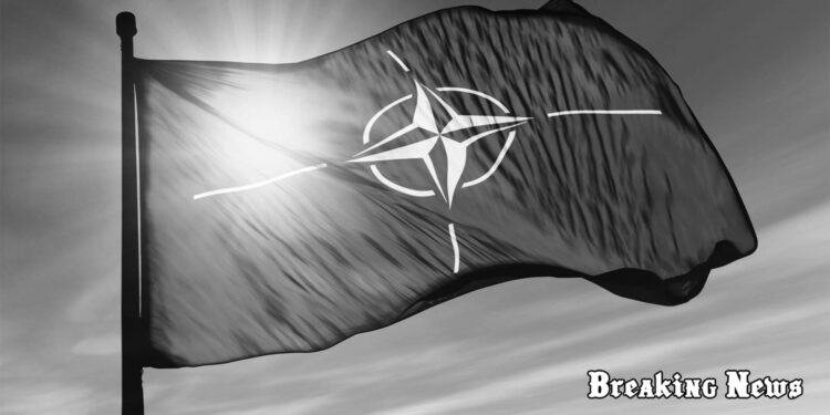 НАТО відреагувало на заяву Румунії про знайдені уламки російського дрона