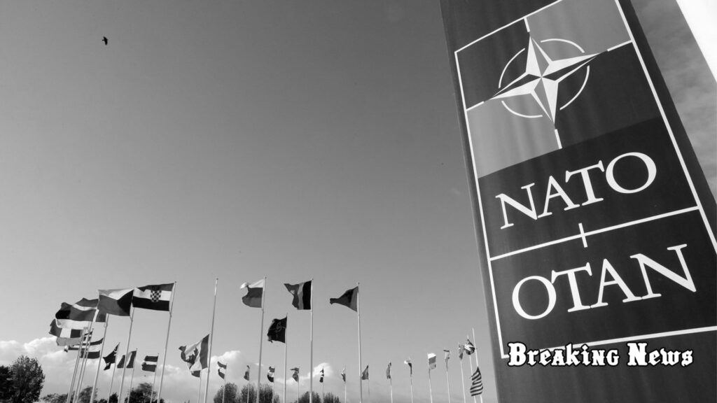 В ЄС шукають альтернативу НАТО, якщо Трамп стане президентом США — WP