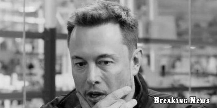 Згадав Зеленського і Залужного: Ілон Маск зробив ще одну скандальну заяву про війну