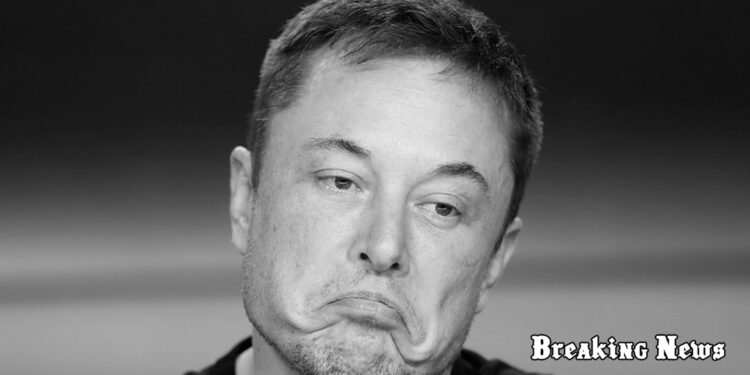 Маск не бачить сенсу в існуванні НАТО