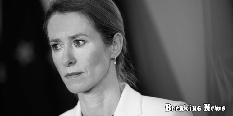 Прем’єрка Естонії Каллас підтвердила, що Естонія не видаватиме українських чоловіків