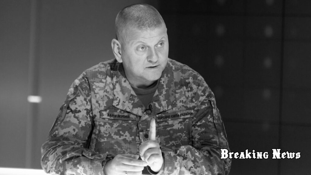 Залужний спростував слова Арахамії про “запит на мобілізацію” 500 тисяч українців