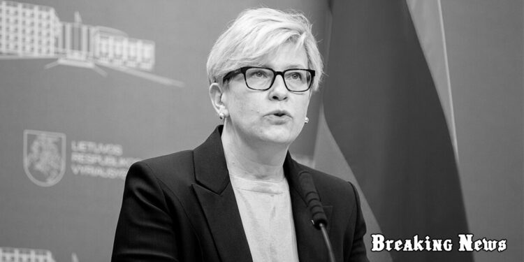 Без України сім’я ЄС неповна - попереду історична можливість, - прем’єрка Литви Шимоніте