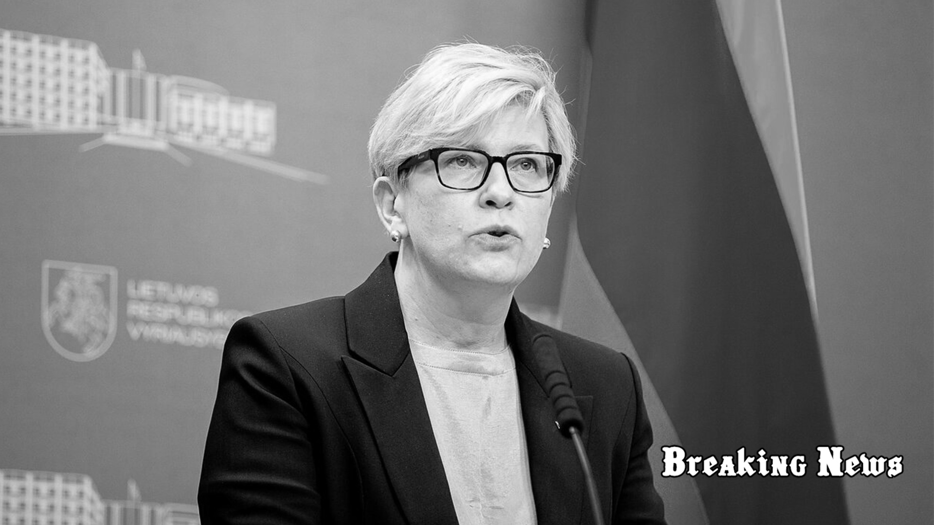 Без України сім’я ЄС неповна - попереду історична можливість, - прем’єрка Литви Шимоніте