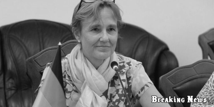 Україна сама вирішить, коли настане час для переговорів, - посол Німеччини Фельдгузен