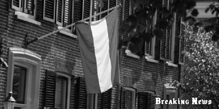 Нідерланди продовжать надавати допомогу енергетичному сектору України