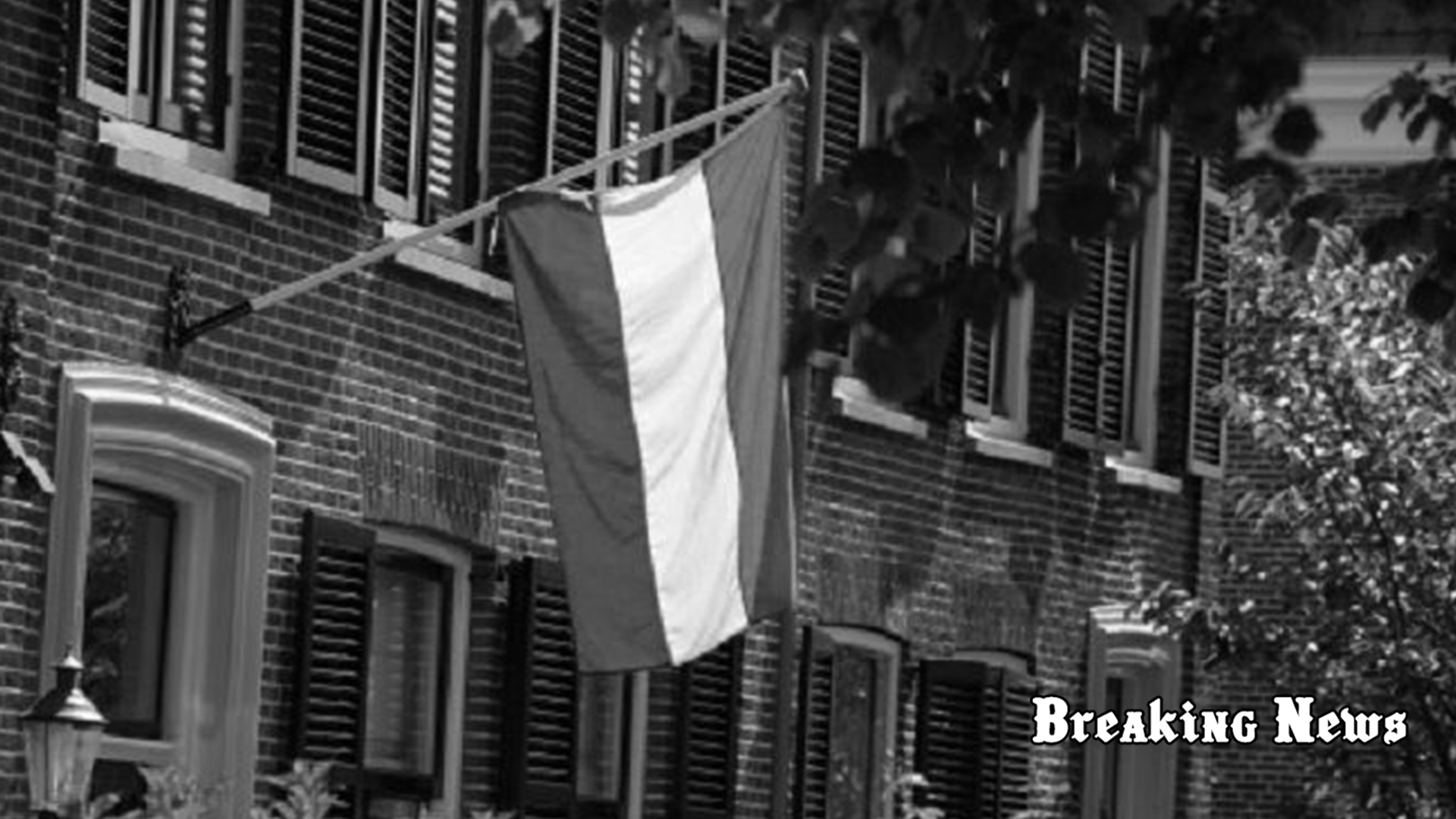 Нідерланди продовжать надавати допомогу енергетичному сектору України