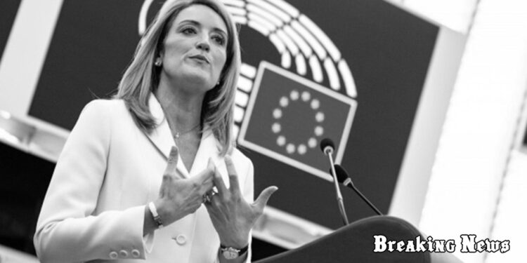 Мецола підтвердила готовність Європарламенту почати перемовини про вступ України до ЄС