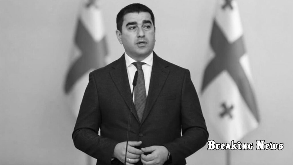 Грузія дотримується «стратегічної політики терпіння» щодо Росії — спікер