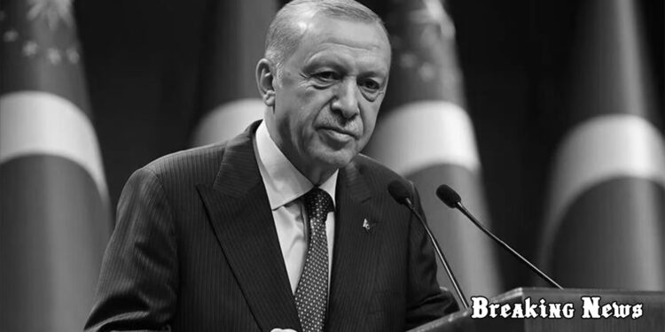 Ердоган дав невтішний прогноз щодо вступу України до ЄС