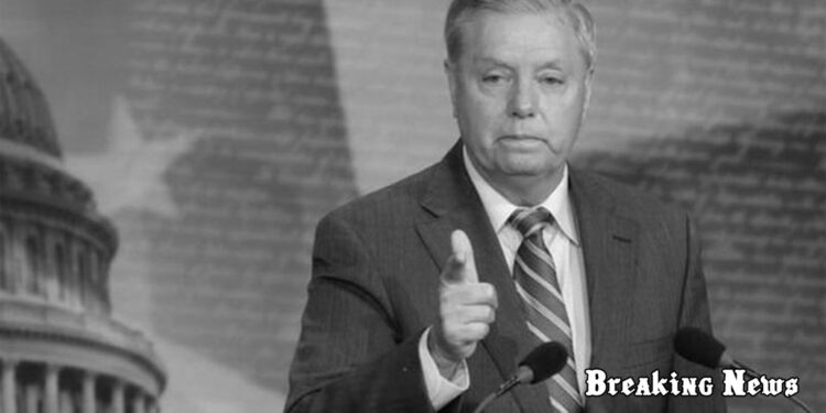 Сенатор Ліндсі Грем назвав план контрнаступ ЗСУ «вражаючим»