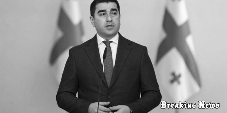 Грузія дотримується «стратегічної політики терпіння» щодо Росії — спікер