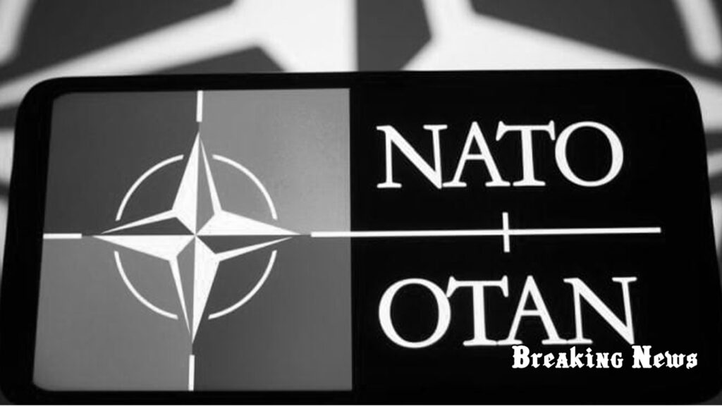 У НАТО зробили заяву про перспективи членства України
