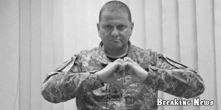 "З вашою підтримкою ми обов'язково переможемо": Залужний, Умєров та Олещук привітали українців з Днем волонтера