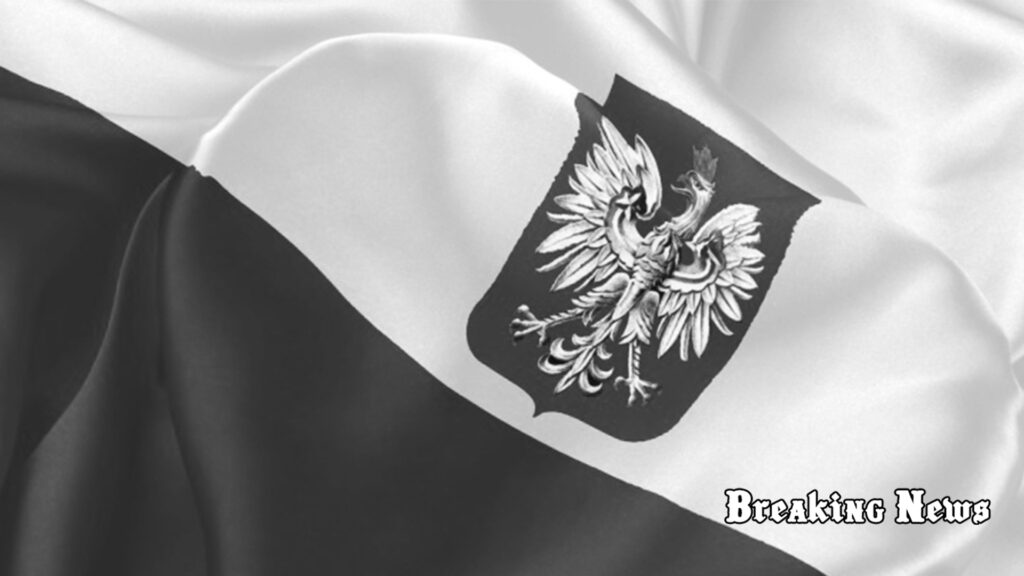 Оборонні заводи в Польщі нарощують виробництво на тлі війни в Україні, – Rzeczpospolitа