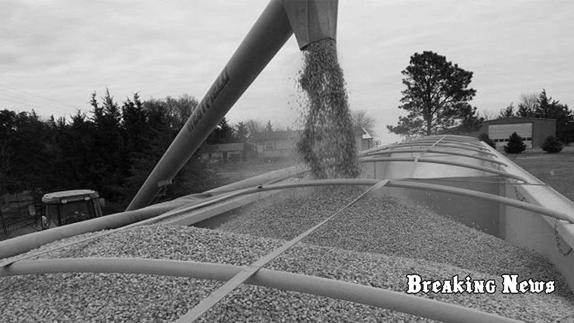 У міністерстві сільського господарства Польщі мають намір закрити агроринок для України на 20 років після її вступу до ЄС