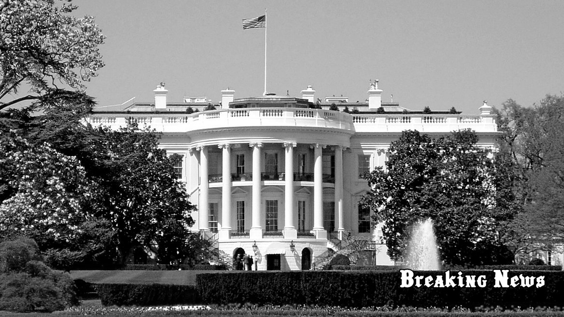 Введення західних військ в Україну: з’явилась реакція Білого дому