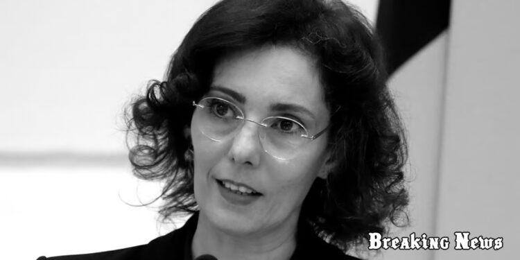 Бельгія працюватиме над просуванням членства України в ЄС під час головування в Раді ЄС