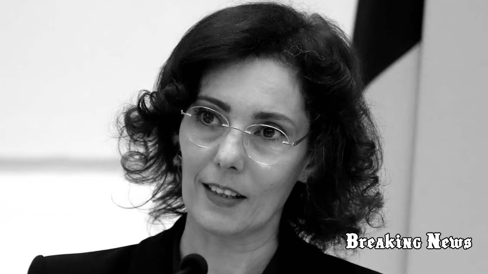 Бельгія працюватиме над просуванням членства України в ЄС під час головування в Раді ЄС