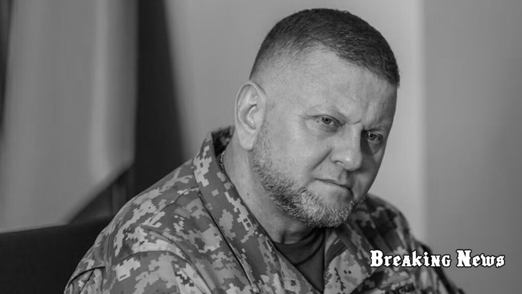 У мережі з’явилися фейкові "сайти Залужного", - Центр протидії дезфінормації