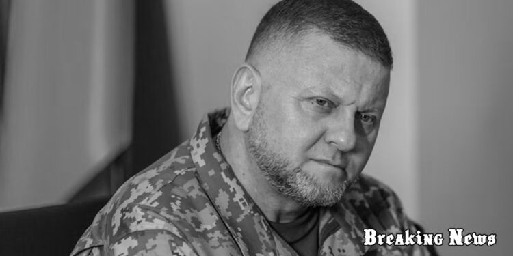 У мережі з’явилися фейкові "сайти Залужного", - Центр протидії дезфінормації