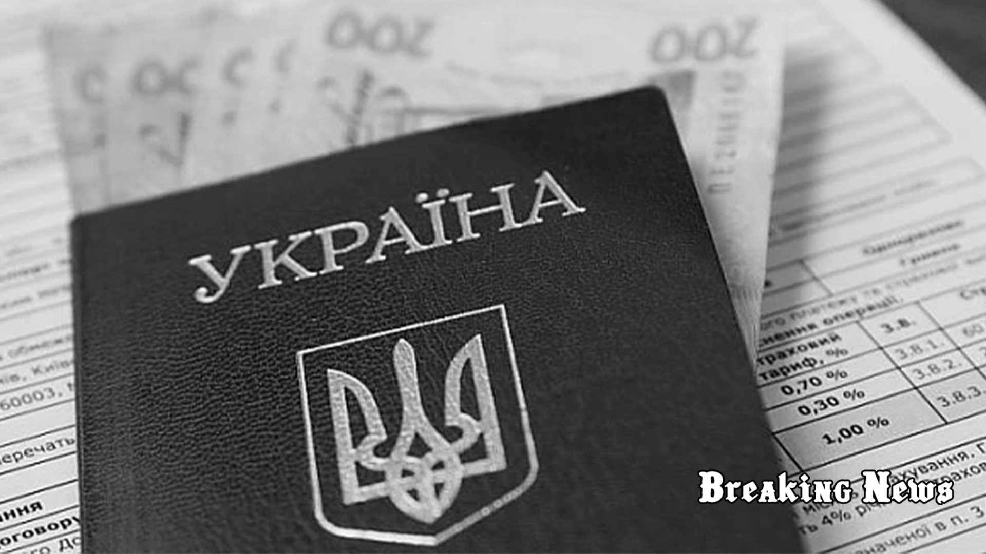 Внутрішні переселенці можуть отримати 10 800 грн від ООН: деталі