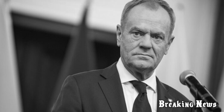 Туск вважає, що ЄС має ухвалити спільне рішення про заборону імпорту зерна з РФ та Білорусі