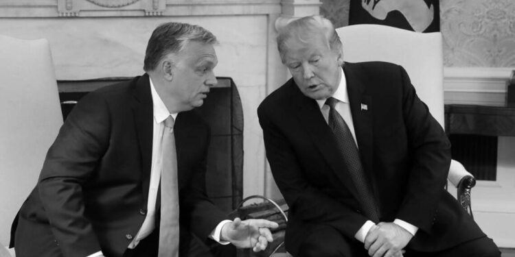 Трамп після зустрічі з Орбаном назвав його «фантастичним лідером»