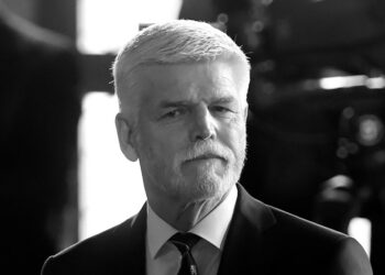 Війська НАТО в Україні могли б здійснювати підтримку безпосередньо на території України, це не порушує міжнародних норм, - Павел