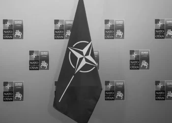 м