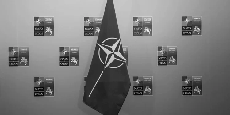 м