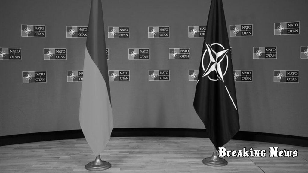 🛡️ Румунія стане новим логістичним хабом НАТО для підтримки України