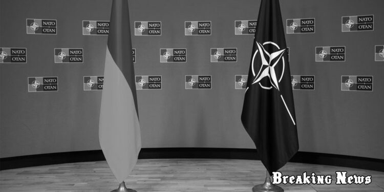 🛡️ Румунія стане новим логістичним хабом НАТО для підтримки України