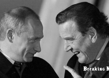 Моя дружба з Путіним могла б сприяти припиненню війни проти України, - Шредер