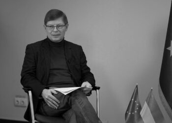 Україна для вступу в ЄС має відповідати демократичним критеріям попри війну, - заступник посла ЄС Дюфло