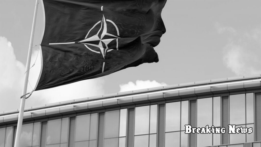 Президенти Латвії та Естонії закликали колег по НАТО повернути обов'язковий призов на військову службу