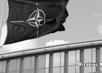 Президенти Латвії та Естонії закликали колег по НАТО повернути обов'язковий призов на військову службу