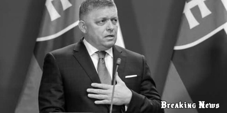 🇸🇰 Прем’єр Словаччини Фіцо підтвердив підтримку вступу України до ЄС