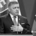 🇸🇰 Прем’єр Словаччини Фіцо підтвердив підтримку вступу України до ЄС