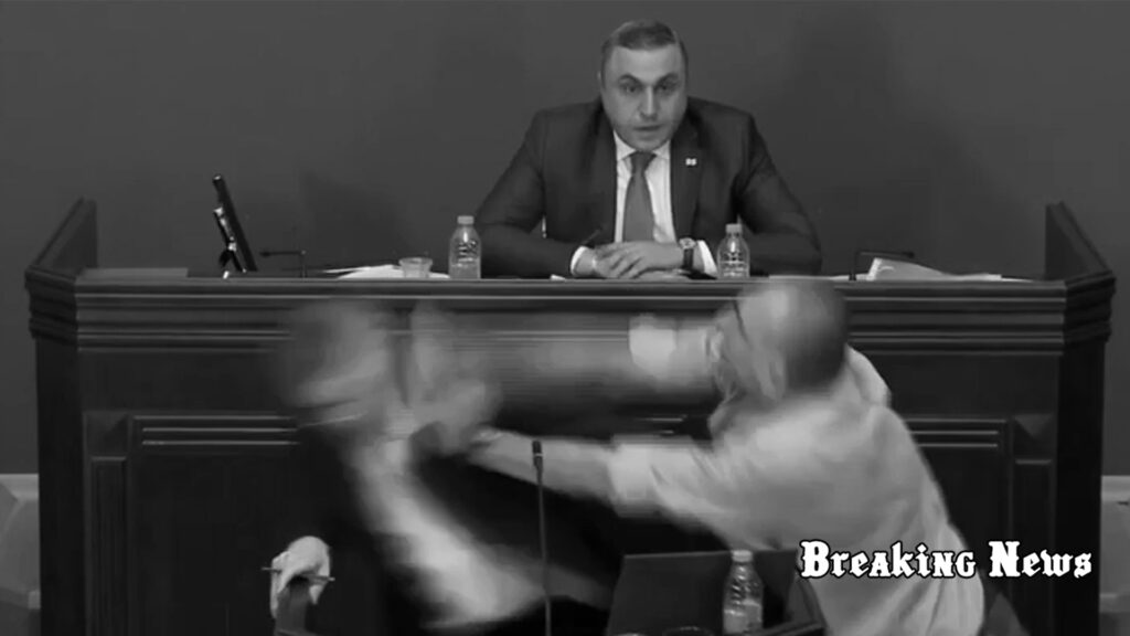 У парламенті Грузії сталася бійка під час обговорення закону про «іноагентів»