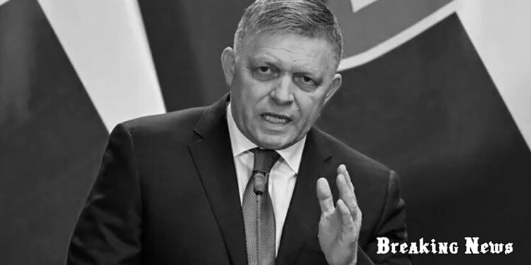 Інтереси Словаччини будуть поставлені під загрозу, якщо Україна стане членом НАТО – Фіцо