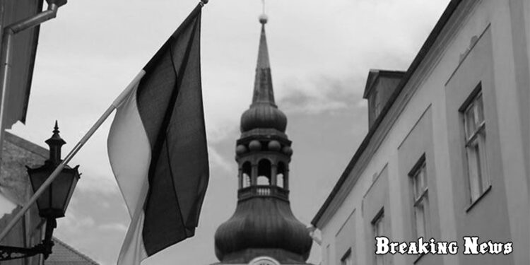 ЗСУ створили для Кремля масштабну проблему - розвідка Естонії