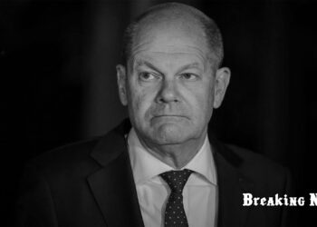 🇩🇪 Штайнмаєр підписав указ про відставку канцлера Шольца